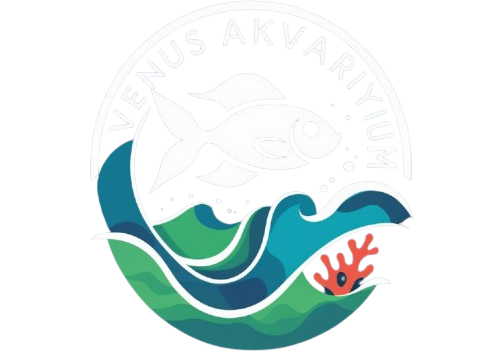 Venüs Akvaryum